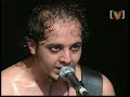 daron malakian the best of the best