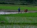 ONE MINUTE IN CHINA - Minute 21
