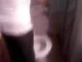 videos de Anniv chachou ( toillettes)