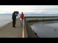 Octopus Eats Seagull, Woman Becomes Famous - Shaw TV Victoria Octopus Eats Seagull, Woman Becomes Famous - Shaw TV Victoria