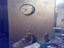 Toby attacks a clock Toby attacks a clock
