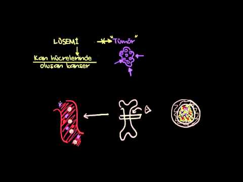 HEMOTOLOJİ - LÖSEMİ