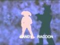 FNL 2007, 00 - FNL Opening Video