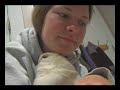 かわいい犬動画