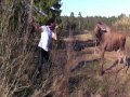 Swedish Man Takes On A Moose