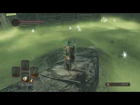 Titanite Chunk x 2 and Fragrant Branch of Yore at Harvest Valley