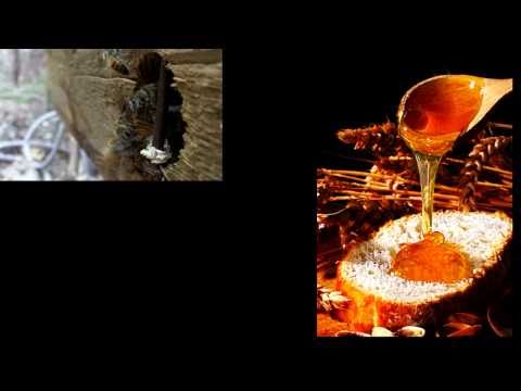 Beekeeping for Beginners?