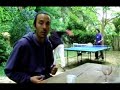 LES WRIGGLES / NOUVEL ALBUM 2007 / teaser 2