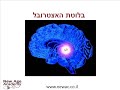 בלוטת האיצטרובל