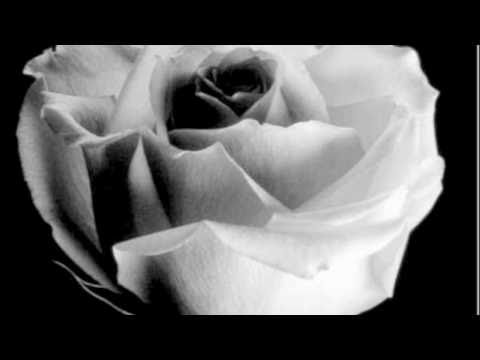 kurze sprüche viel glück wunderschöne liebestexte für ihn