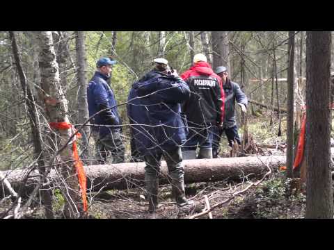 YouTube &ETH;&cent;&Ntilde;&ETH;&micro;&ETH;&sup1;&ETH;&raquo;&ETH;&micro;&Ntilde;