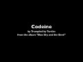 Trampled by turtles - codeine (lyrics)
