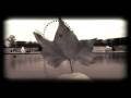 videos de A Paris...
