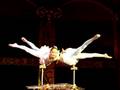 Mongolian New Circus Center