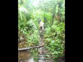 Petite Balade en foret Guyannaise pour Gwladys et Malika