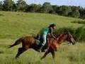 Lady Galloping