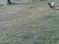 Sarez On a Chook Hunt