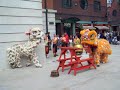 chinese dragon dance