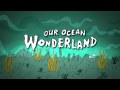 Our Ocean Wonderland: the Batfish