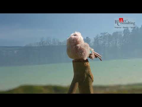 Video Prodej, pozemky/bydlení, 11433 m2, Horní Staré Město, 54102 Trutnov, Trutnov [ID 84693]