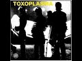 Toxoplasma-Bunkerparty