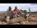 Mule Deer Hunt With One Shot Kill