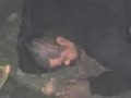 gordo borracho gordo borracho