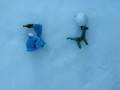 STOP MOTION EL FEDNEE