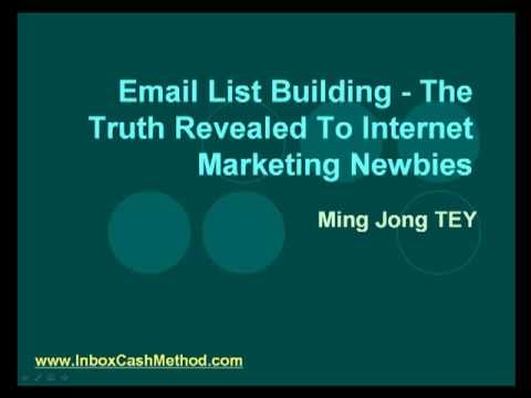 Email List Building – The Truth Revealed To Internet Marketing Newbies