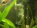 Reactor CO2 Aquario Caseiro 