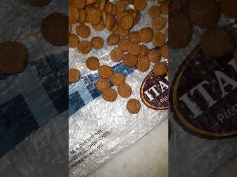 Pedigree - Wrong number