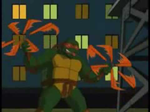 Reflections 1 / 2 - Teenage Mutant Ninja Turtles Season 2