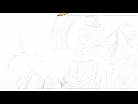 how to transplant dwarf iris