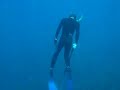 freediving in culebra