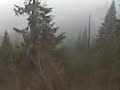 OutOfthemist.3GP