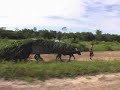 Trilha realizada pela EART em 2007 com a participação de 70 ciclistas de Belém e varias cidades do Brasil.