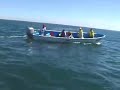 Gray Whales in Magdalena Bay