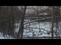 IMAG0010.AVI