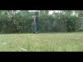 09 training sampler -- I learned some new tricks and am working on some new ones also. the jacknife and the raiz really needs work, so plz, tips are very much appreciated.