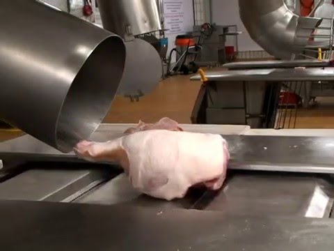 Suinocultura Hoje: Série Mercado - 1ª Reportagem da Série