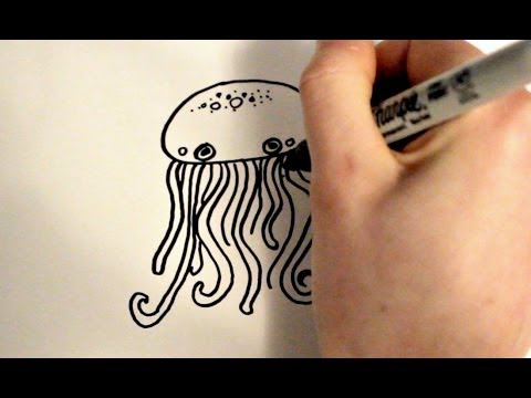 how to draw jellyfish