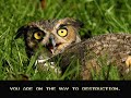 ALL YOUR BASE ARE BELONG TO O RLY?