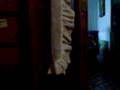 videos de El Fantasma