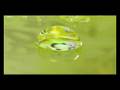 Dream Dance Alliance Summer Dreams Official Music Video and Lyrics