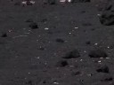 compagnia sisina augusta - etna