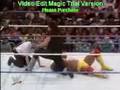 undertaker vs hulk hogan