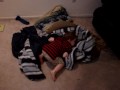 videos de Hide and Seek and Fetch