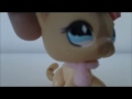 Click here to watch this video LPS Behind These Hazel Eyes