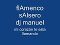 flAmenco sAlsero dj mAnuel ((mi corazon te está llamando))