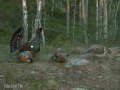 Просмотр видео